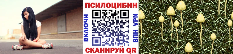 Псилоцибиновые грибы Psilocybine cubensis  Купить где  Староминская 